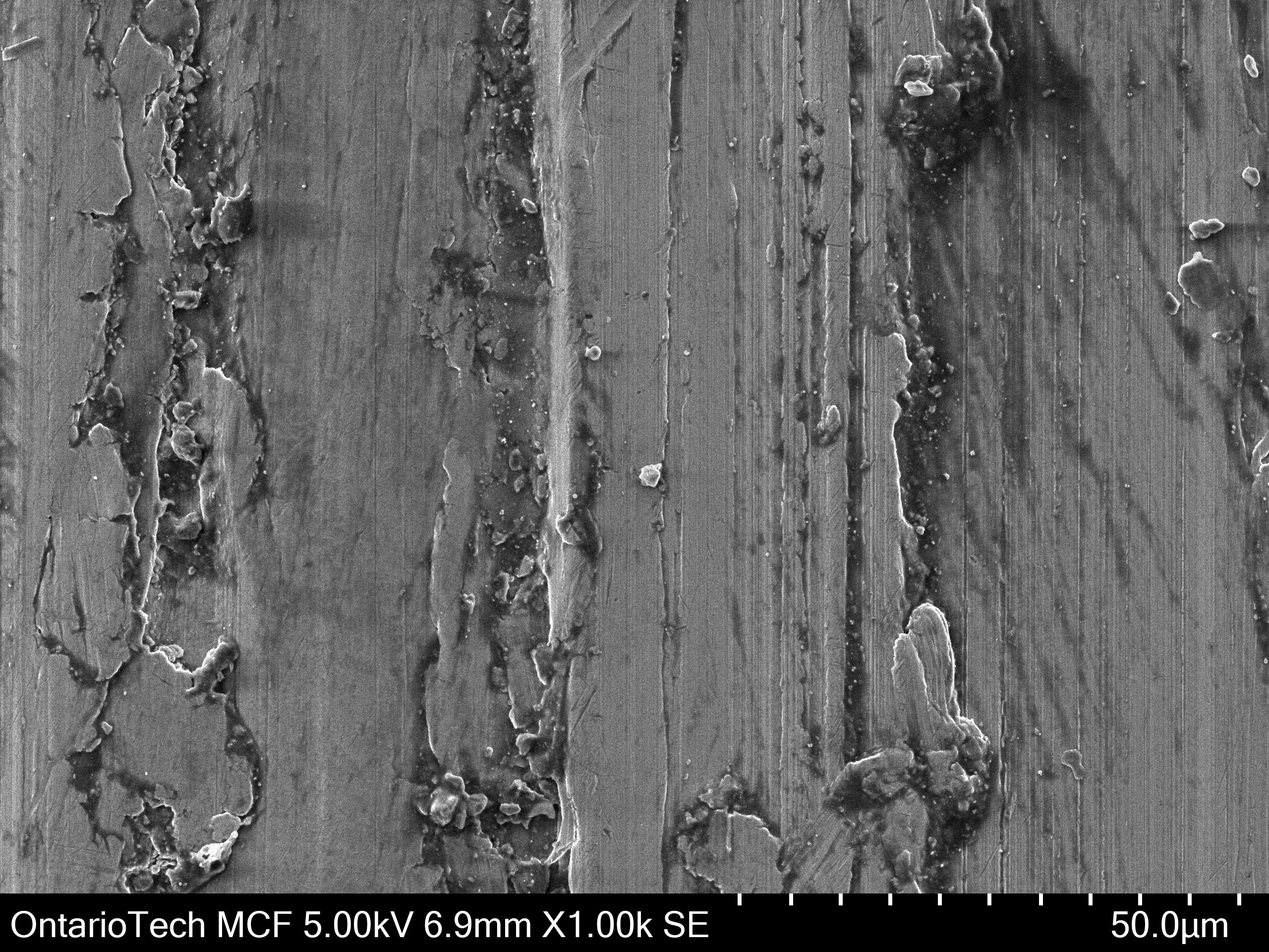 High-resolution SEM micrograph of the wear scar